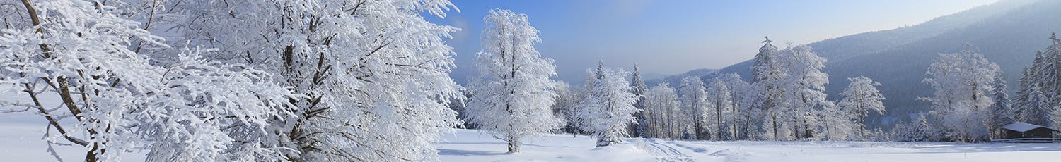 Snølandskap fotografert med korrekt hvitbalanse